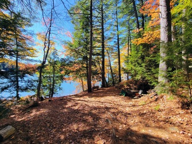Enjoy lakeside living at this peaceful McGrath Pond retreat! - photo 6