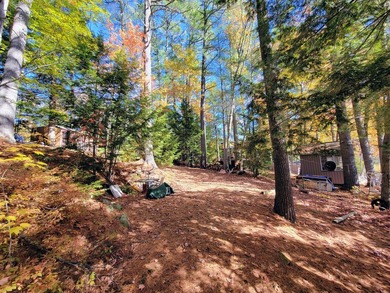 Enjoy lakeside living at this peaceful McGrath Pond retreat! - photo 7