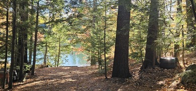 Enjoy lakeside living at this peaceful McGrath Pond retreat! - photo 8