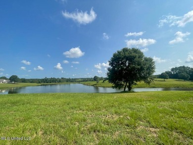Lake front lots in a beautiful new Subdivision on Highway 63 - photo 46