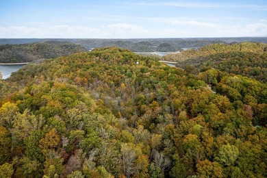 Wooded land with beautiful lake views and a peaceful, private - photo 3