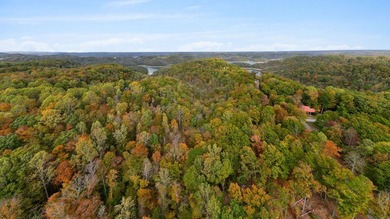 Wooded land with beautiful lake views and a peaceful, private - photo 4