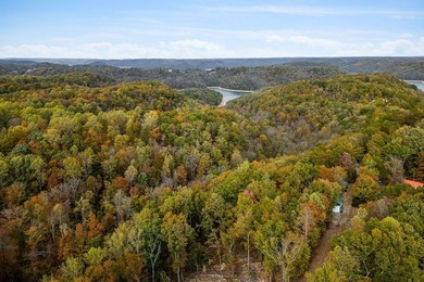 Wooded land with beautiful lake views and a peaceful, private - photo 5