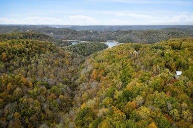Wooded land with beautiful lake views and a peaceful, private - photo 6