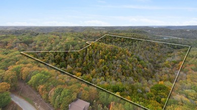 Wooded land with beautiful lake views and a peaceful, private - photo 7