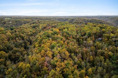 Wooded land with beautiful lake views and a peaceful, private - photo 9