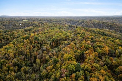 Wooded land with beautiful lake views and a peaceful, private - photo 10