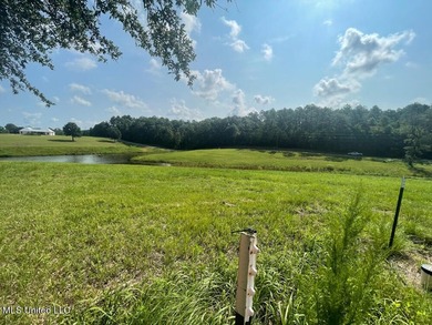 Lake front lots in a beautiful new Subdivision on Highway 63 - photo 41