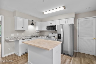 'Boat in the water in under 5 minutes. This move-in-ready - photo 4