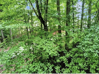 4.5 Acres Near Dale Hollow Lake - Ready for Your Dream Lake - photo 13