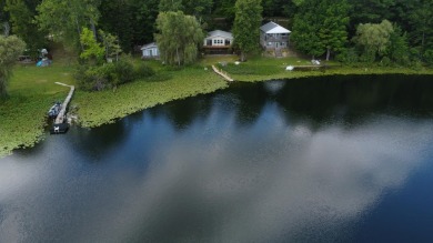 Lake Home For Sale in Riverdale, Michigan