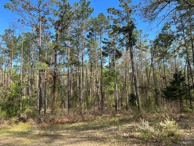 74-acre vacant wooded land for sale in Smith County, East TX - photo 11