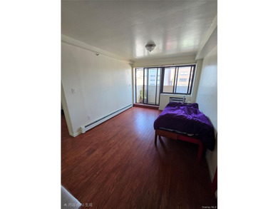 This exceptional condo offers a spacious one-bedroom - photo 12