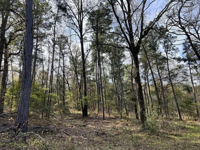 74-acre vacant wooded land for sale in Smith County, East TX - photo 12