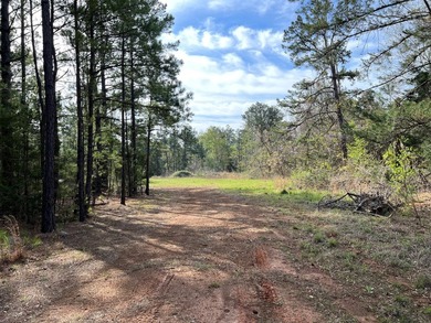 74-acre vacant wooded land for sale in Smith County, East TX - photo 13