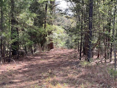 74-acre vacant wooded land for sale in Smith County, East TX - photo 14