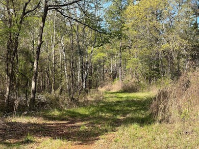 74-acre vacant wooded land for sale in Smith County, East TX - photo 15