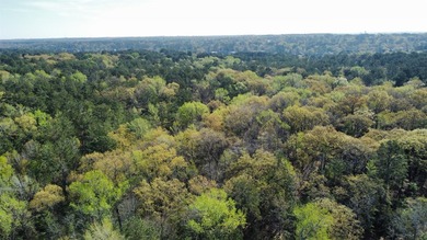 74-acre vacant wooded land for sale in Smith County, East TX - photo 16