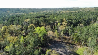 74-acre vacant wooded land for sale in Smith County, East TX - photo 17