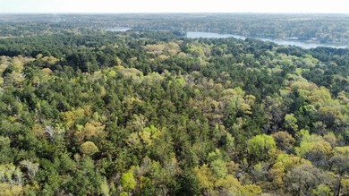 74-acre vacant wooded land for sale in Smith County, East TX - photo 18