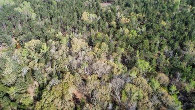 74-acre vacant wooded land for sale in Smith County, East TX - photo 19