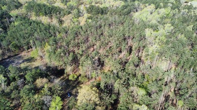 74-acre vacant wooded land for sale in Smith County, East TX - photo 20