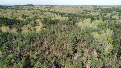 74-acre vacant wooded land for sale in Smith County, East TX - photo 21