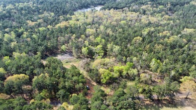74-acre vacant wooded land for sale in Smith County, East TX - photo 22