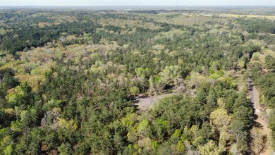 74-acre vacant wooded land for sale in Smith County, East TX - photo 23
