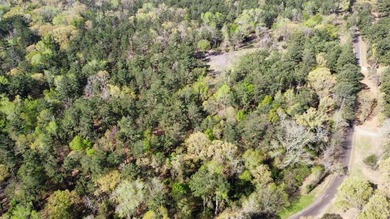 74-acre vacant wooded land for sale in Smith County, East TX - photo 24