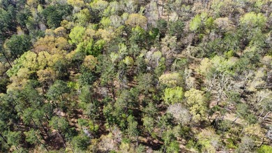 74-acre vacant wooded land for sale in Smith County, East TX - photo 26
