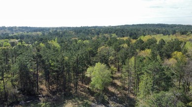 74-acre vacant wooded land for sale in Smith County, East TX - photo 27