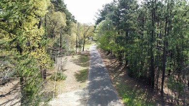 74-acre vacant wooded land for sale in Smith County, East TX - photo 28