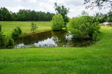 Lake Acreage For Sale in Crane Hill, Alabama