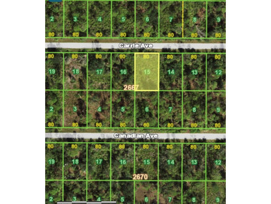 Port Charlotte Waterway Area Lot For Sale in Port Charlotte Florida