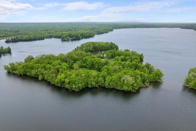 This extraordinary 17-acre island is located in Lake Chetac - photo 3