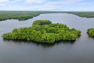 This extraordinary 17-acre island is located in Lake Chetac - photo 4
