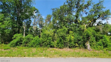 Withlacoochee River Lot For Sale in Webster Florida