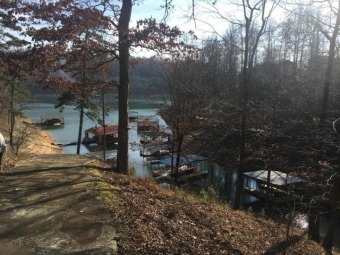 Norris Lake Acreage For Sale in La Follette Tennessee