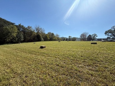 Discover your slice of Tennessee paradise with this beautiful 1 - photo 2
