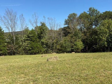 Discover your slice of Tennessee paradise with this beautiful 1 - photo 3