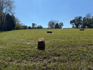 Discover your slice of Tennessee paradise with this beautiful 1 - photo 8