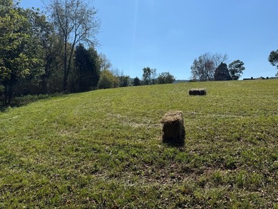 Discover your slice of Tennessee paradise with this beautiful 1 - photo 9