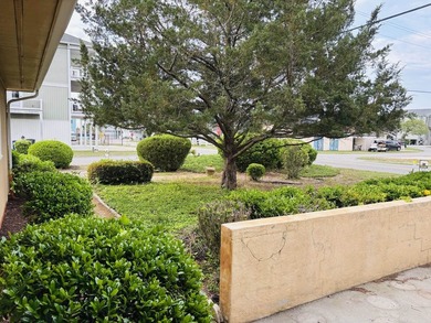 Fantastic classic beach home just a block from the ocean in the - photo 30