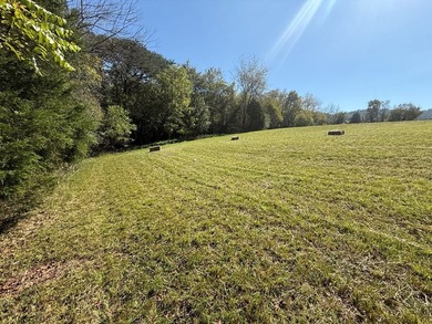 Discover your slice of Tennessee paradise with this beautiful 1 - photo 10