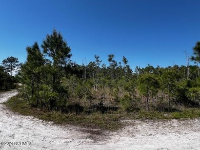 Boiling Spring Lake Lot For Sale in Boiling Spring Lakes North Carolina
