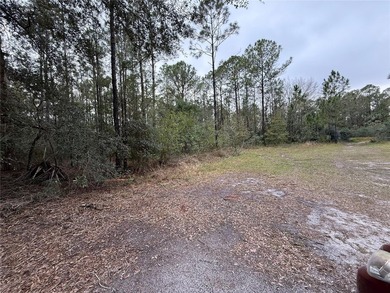 This vacant 0.55-acre corner lot, located near a scenic lake and - photo 2