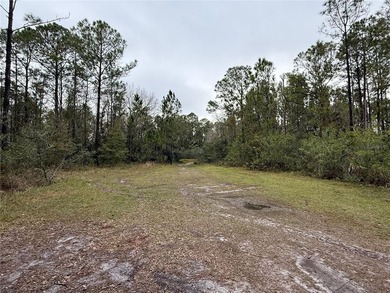 This vacant 0.55-acre corner lot, located near a scenic lake and - photo 3