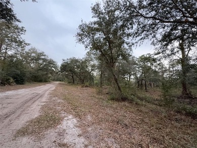 This vacant 0.55-acre corner lot, located near a scenic lake and - photo 4