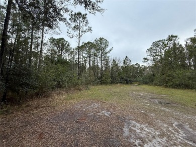 This vacant 0.55-acre corner lot, located near a scenic lake and - photo 6